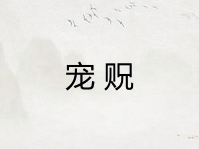 宠贶