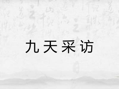 九天采访