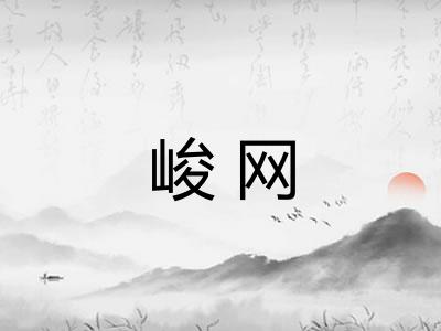 峻网