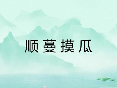 顺蔓摸瓜