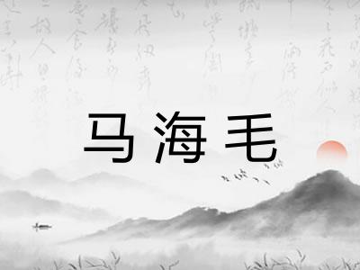 马海毛