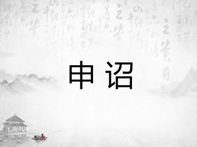 申诏