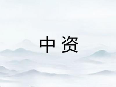 中资