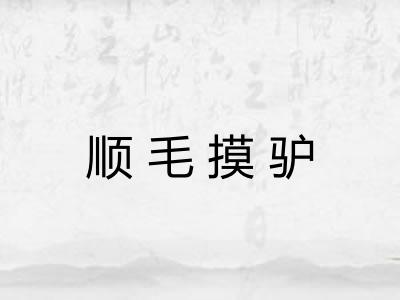 顺毛摸驴