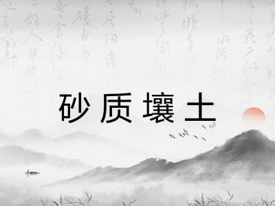砂质壤土