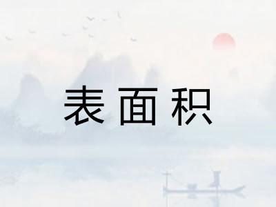 表面积