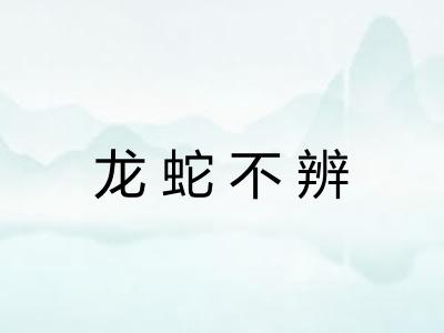 龙蛇不辨