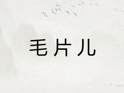 毛片儿