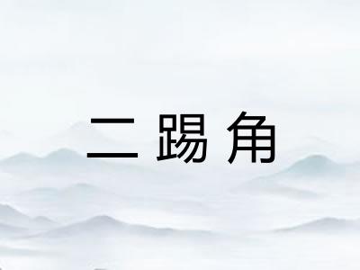 二踢角
