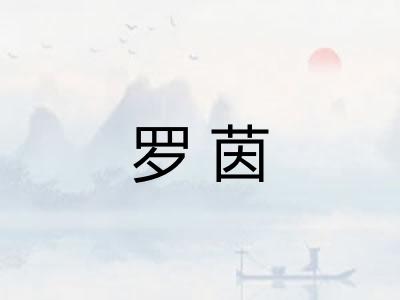 罗茵