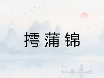 摴蒲锦