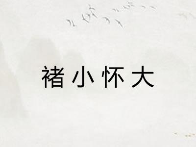 褚小怀大