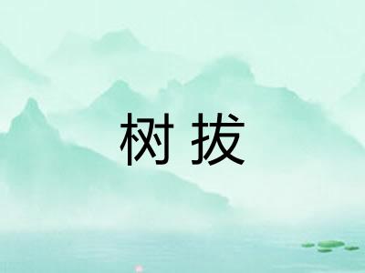 树拔