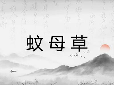 蚊母草