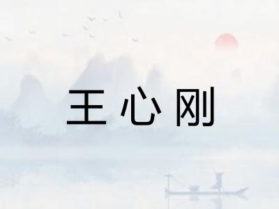 王心刚