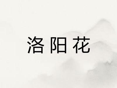 洛阳花