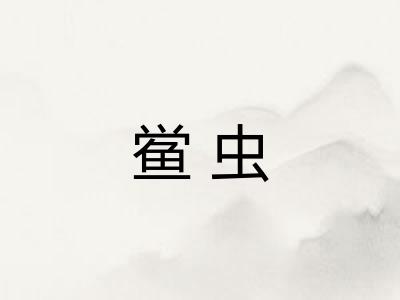 鲎虫