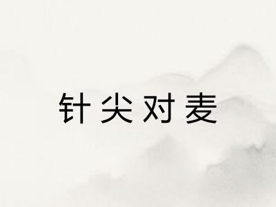 针尖对麦