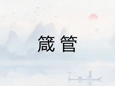 箴管