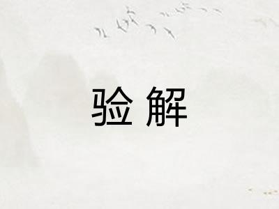 验解