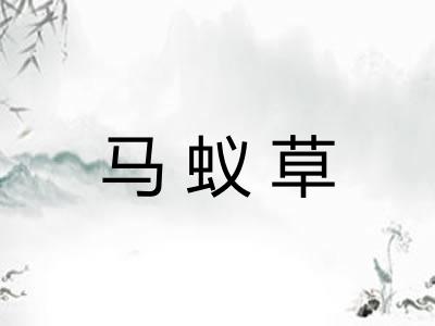 马蚁草