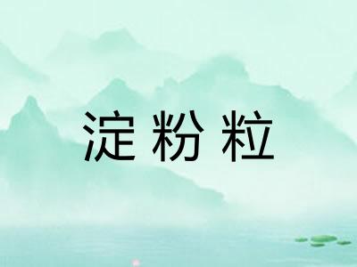 淀粉粒