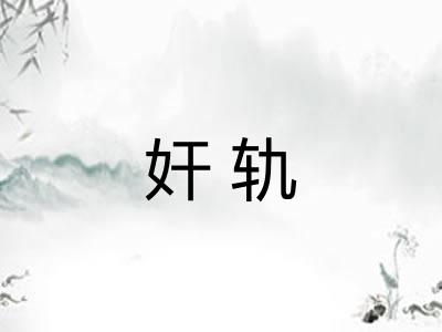 奸轨