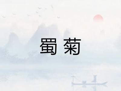 蜀菊