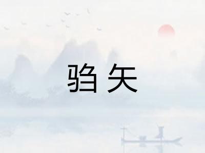 驺矢