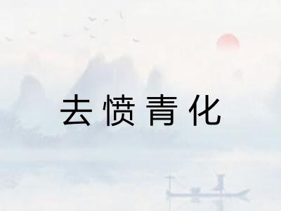 去愤青化