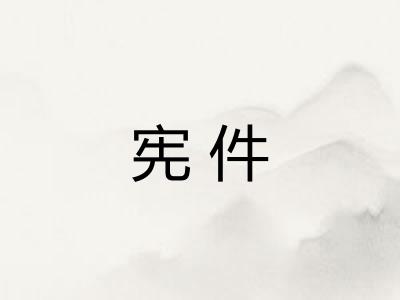 宪件