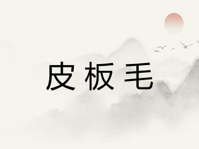 皮板毛