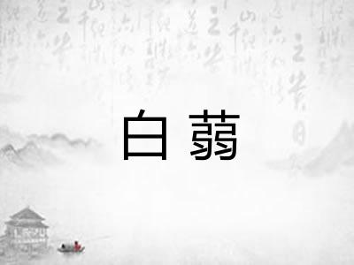 白蒻