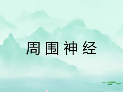 周围神经