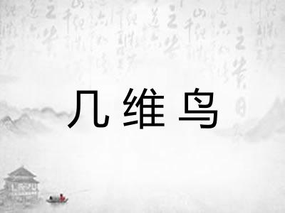 几维鸟