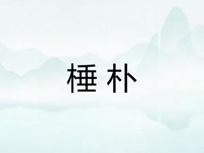 棰朴