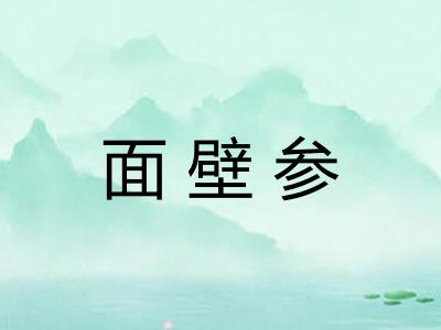 面壁参