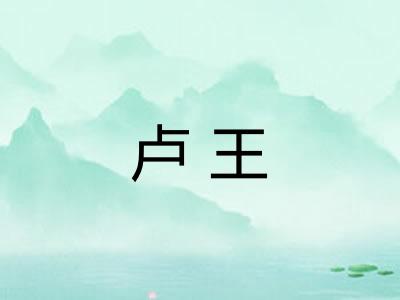 卢王