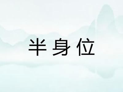 半身位