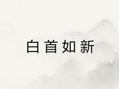 白首如新