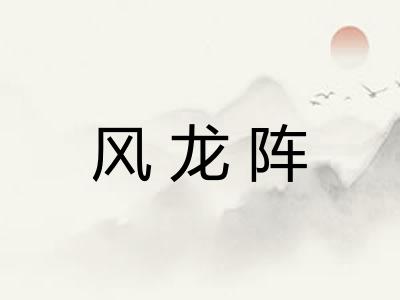 风龙阵
