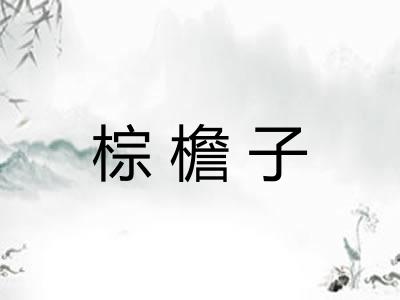 棕檐子