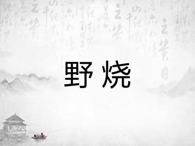 野烧