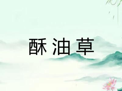 酥油草