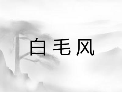 白毛风