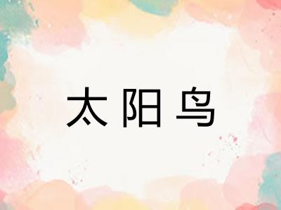 太阳鸟