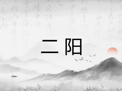 二阳