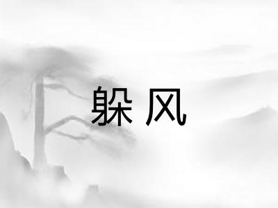 躲风