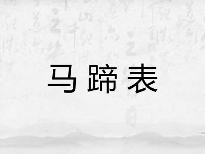 马蹄表