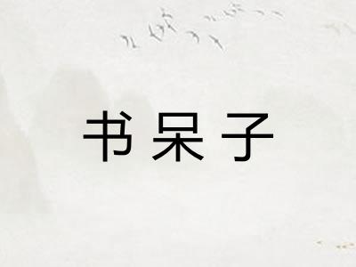 书呆子